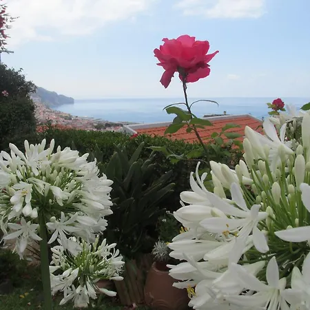 Vista Oceano