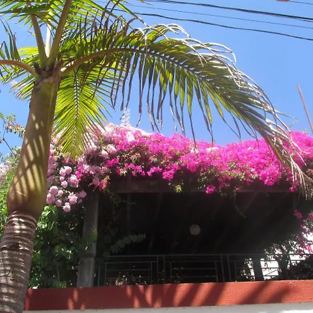 Vista Oceano Apartment Funchal (Madeira)