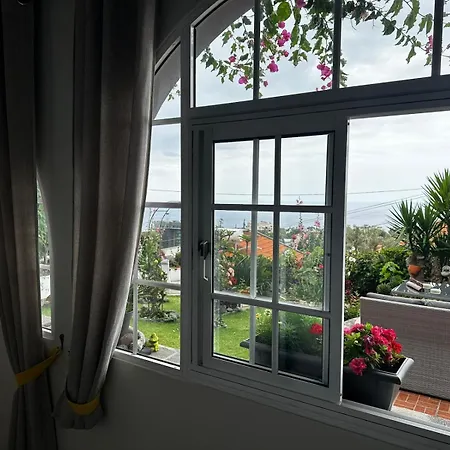 Vista Oceano * Funchal (Madeira)