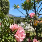 Apartmán Vista Oceano